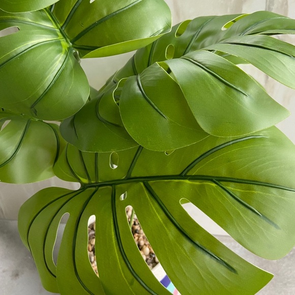 Faux Monstera Deliciosa Plant in Colorful Pot - Picture 9 of 15
